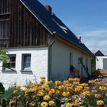 Zum Storchennest Hotel Kemnitz  ภายนอก รูปภาพ