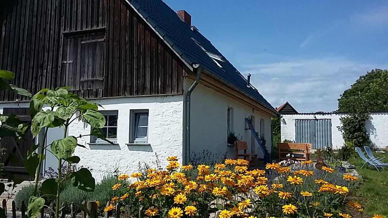 Zum Storchennest Hotel Kemnitz  ภายนอก รูปภาพ