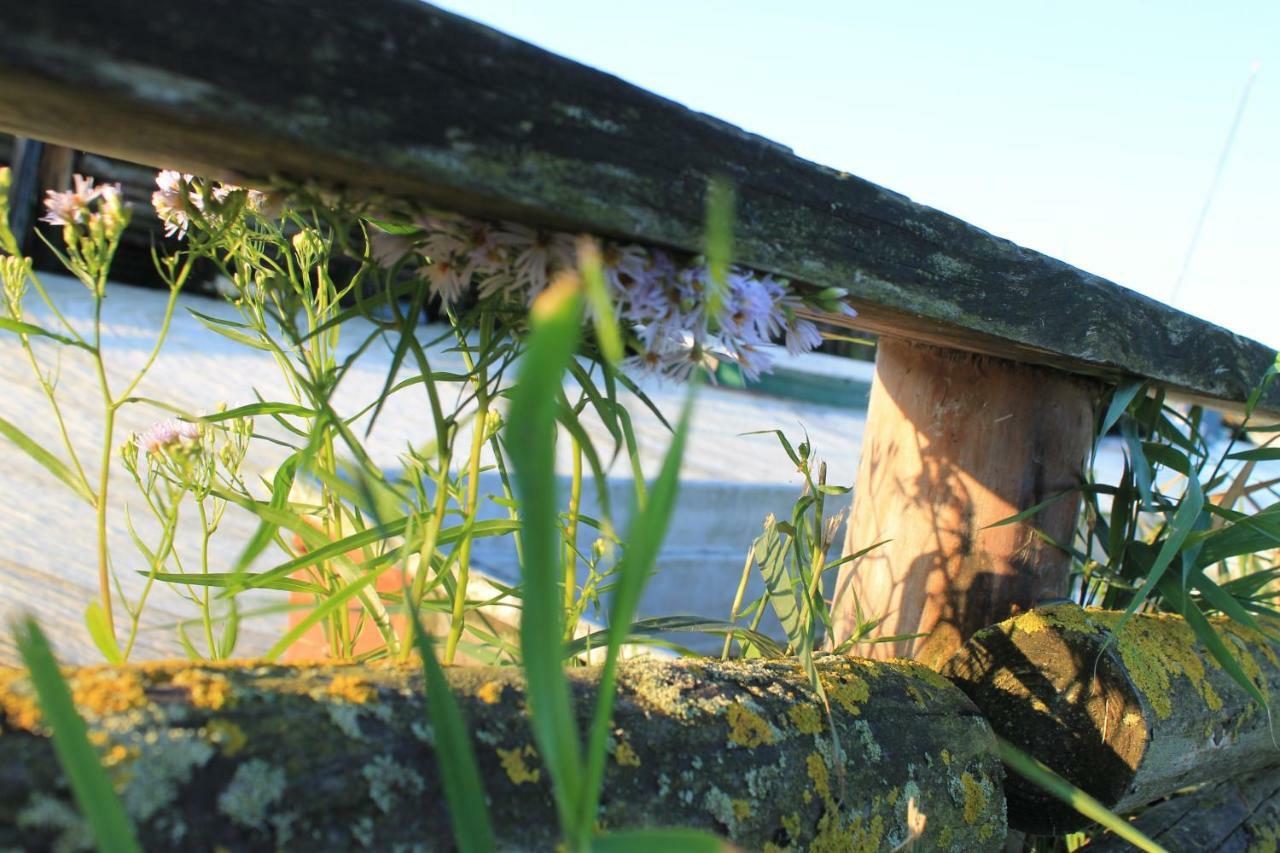 Zum Storchennest Hotel Kemnitz  ภายนอก รูปภาพ